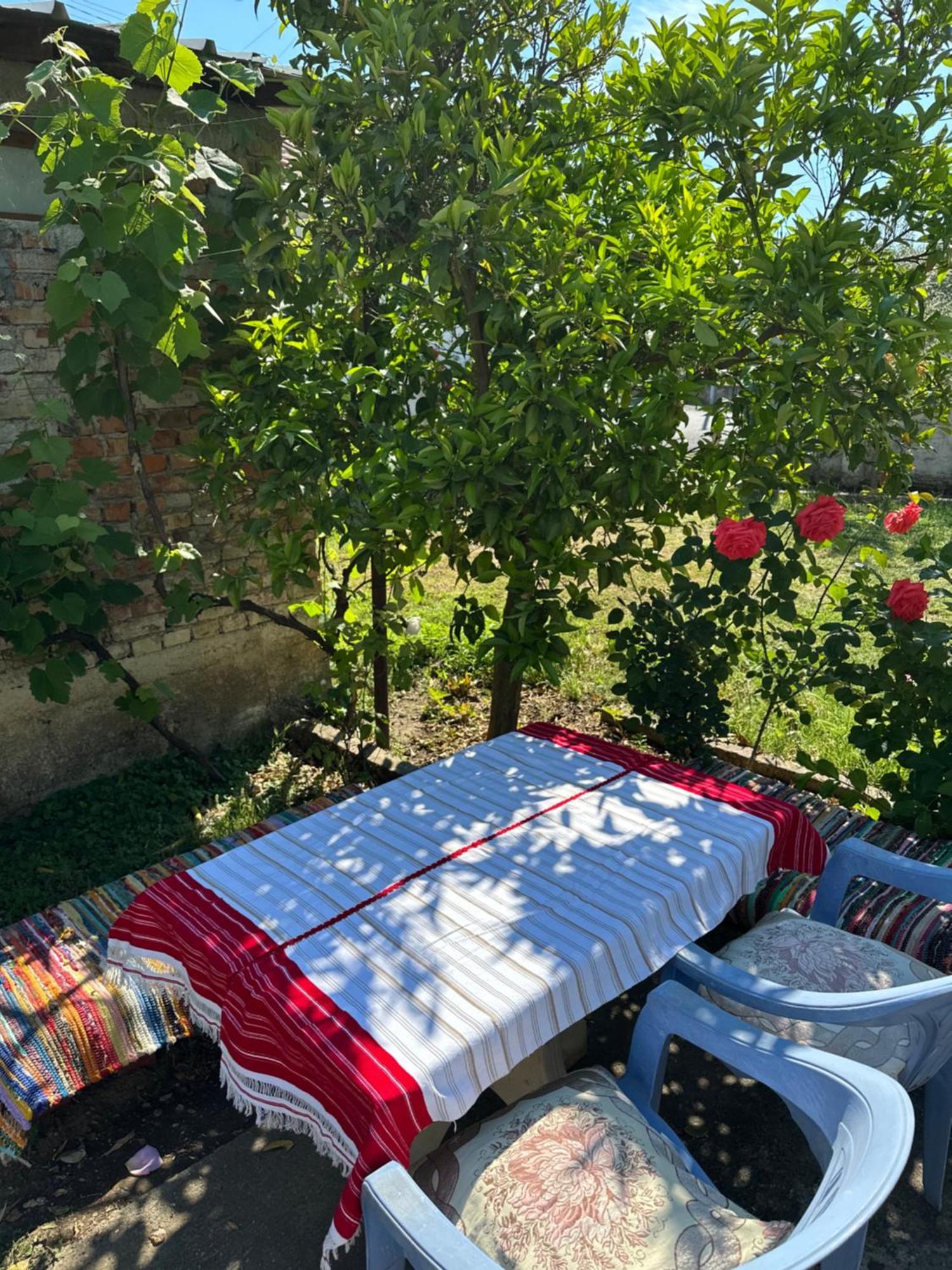 Villa Zefi Rrenc Papaj Экстерьер фото